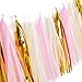 Tissue Pom Poms Paper flowers Tissue Tassel Paper Garland Pink Cream Glitter Gold Kit 23 Pcs for Baby Shower Bridal Shower Baby First Birthday Decorations