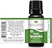 Plant Therapy USDA Certified Organic Spearmint Essential Oil 10 mL (1/3 oz) 100% Pure, Undiluted, Therapeutic Grade