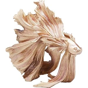 Kare 61913 Deko Figur Betta Fish Gold, One Size
