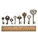 Keyzone 100 Pcs Vintage Antique Bronze Mixed Skeleton Key Charms Pendants DIY for Jewelry Making and Handmaking