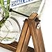 Plant Propagation Station,Plant Terrarium,Plant Starter,Gifts for Plant Lovers,Glass Bulb Terrarium with Retro Solid Wooden Stand for Hydroponics Plants Home Garden Wedding Décor (3 Bulbs)