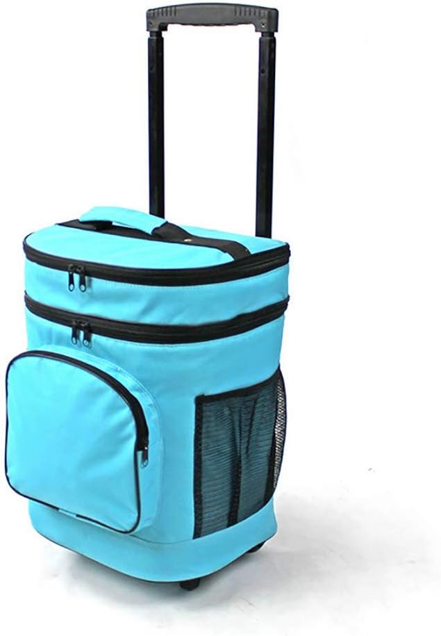 31 insulated lunch bag