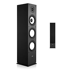 VEVOR Floorstanding Speaker, 2-Way, Floor-Standing