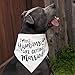 My Humans are Getting Married Dog Bandana, Wedding Dog Bandana, Dog Engagement Announcement, Wedding Photo Prop, Pet Scarf, Pet