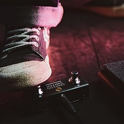 Hotone Dual Footswitch Pedal Momentary 2-Way Pedal