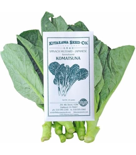 Amazon.com : Japanese Komatsuna Mustard Seeds - 3 g Packet ~800
