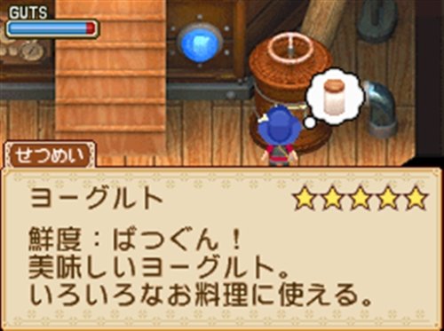 Bokujou Monogatari Youkoso Kaze No Bazaar E Japan Import Amazon De Games