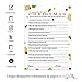 Christmas Trivia Game Fun Party Activity for Adults, Office, Group, Thanksgiving, Holiday Movie and Song Questions, 25 Guest Pack, 5x7 Cards, Version 1
