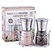 Premium Salt and Pepper Grinder Set - 2 Glass Body Mills with Steel Stand - 5 Grade Adjustable Ceramic Rotor, Efficient Stainless Steel Lids, Modern Design, Salt and Pepper Shakers by Kind Che