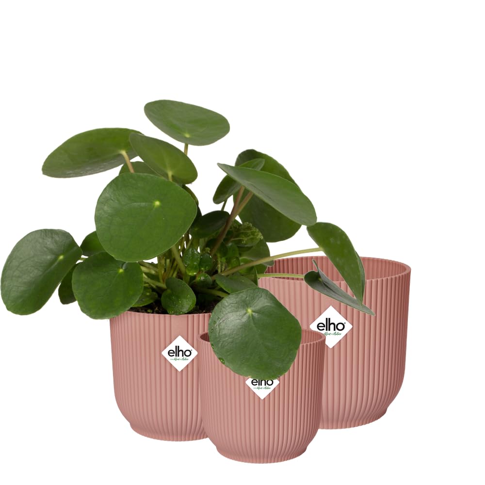 elho Vibes Fold Round - Flower Pots from 100% Recycled Plastic - Indoor Plant Pots - Set of 3 - Ø 14, 16, 18 cm - Pink/Delicate Pink