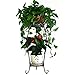 DAZONE Demountable Metal 2 Tiers Plant Rack Indoor Floor Model Potted Plant Stand (Bronze)