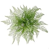 Felice Arts 4 Bundles Artificial Boston Ferns Bush Plants Faux Grass Fake Plastic Shrubs Leaves Fake Shrubs Plant Arrangements Simulation Greenery Bushes Indoor Outside Home Garden Office Verandah