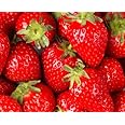 STRAWBERRIES GROWN FRESH PRODUCE FRUIT VEGETABLES PER POUND by FRESH STRAWBERRIES At The Neighborhood Corner Store