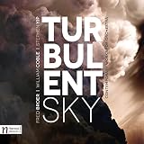 TURBULENT SKY                                      image