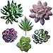 PDTXCLS TANGDIAABBCC GenericJINCHENGYU Everenty A-Fun Realistic Fake Artificial Succulent Plants Unpotted Fake Cactus for Home Gardern DIY Decoration 6 PCS
