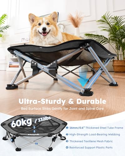 Pecute Cama Elevada para Perros Medianos y Pequeños, Resistente Sin Montaje con Colchoneta Refrescante, Plegable para Interior y Camping, Tamaño L, Soporta hasta 60kg, Gris