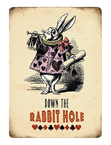 Small (150 x 200mm) Metal Sign - Alice in Wonderland - Down the Rabbit Hole