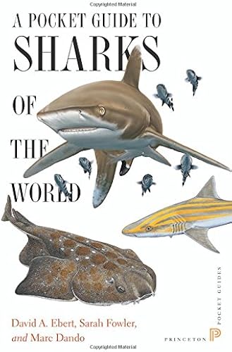 Download A Pocket Guide to Sharks of the World PDF