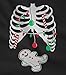 TeeStars - Gingerbread Skeleton Christmas Rib Cage Xray Cute Kids Sweatshirt