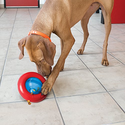 KONG - Gyro - Gioco interattivo dispenser di premi per cani - Taglia S - //coolthings.us