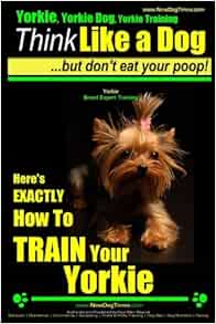 yorkie obedience training