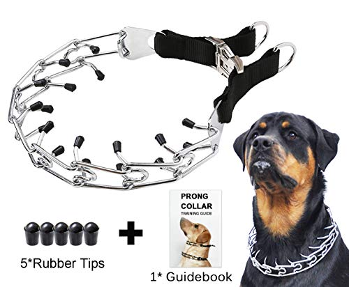 Mayerzon Dog Prong Training Collar, Stainless Steel Choke Pinch Dog Collar with Comfort Tips (Collar)