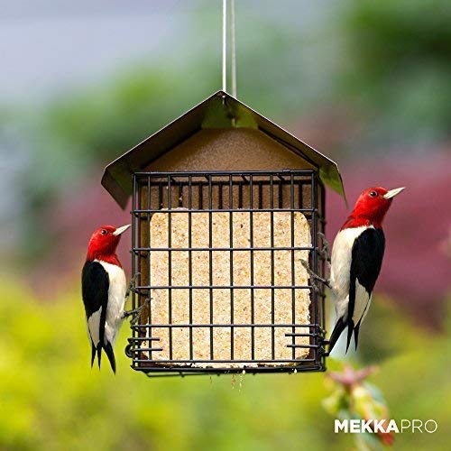 MEKKAPRO Double Suet Wild Bird Feeder with Hanging Metal Roof, Two Suet Capacity, Bird Feed Recommended (Renewed)