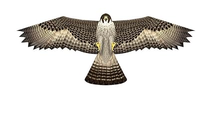 X Kites Birds Of Prey Kite 48 Falcon