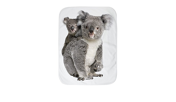 Amazon Com Royal Lion Baby Blanket White Koala Bear Mother And Baby Clothing