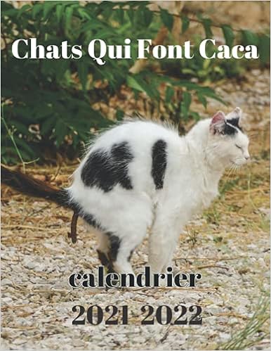 Chats Qui Font Caca Calendrier 22 Cadeaux Droles Pour Les Amoureux Des Chats Pour Blague Secret Santa Gag Homme Femme Adolescent Enfant Ami Noel Idee Cadeau Amoureux