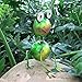 Solar Garden Lights Outdoor Garden Decoration Outdoor Flower Basin Solar Lamp Outdoor Access Drainage Lowerpot Spring Garden Logo Fairytale Garden Metal Animal Frog Statuette