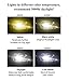DunGu H11 Headlight Fog Bulb 55W 5000K Pure White For Car Motorcycle Boat 12V (pack of 2)