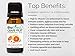 BioFinest Grapefruit Oil - 100% Pure Grapefruit Essential Oil - Weight Loss, Reduce Sugar Craving - Premium Quality - Therapeutic Grade - Best For Aromatherapy - FREE E-Book (10ml)