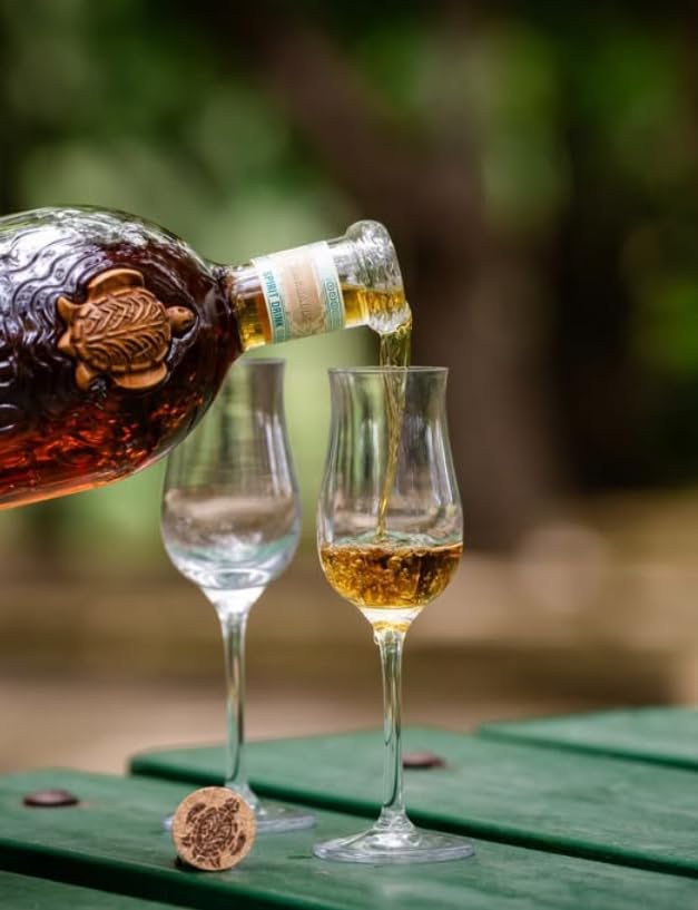 CANEROCK - Barbados Spiced Rum, infundiert mit Kokosnuss, Vanille und Ingwer - Goldmedaille bei den World Rum Awards 2023-40% Alkohol - 70 cl 2