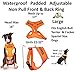 NO Dogs (Not Good with Other Dogs) Orange Colour Coded Non-Pull Front and Back D Ring Padded and Waterproof Vest Dog Harness Prevents Accidents by Warning Others of Your Dog in Advance (L)