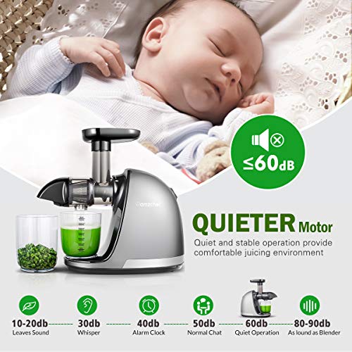 Slow Masticating Juicer, AMZCHEF Slow Juicer Extractor Professional