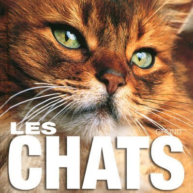 Les  chats