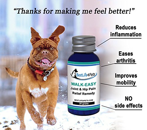 walk easy for dogs