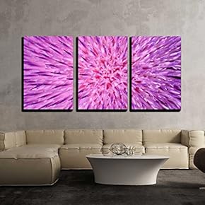 3 Piece Canvas Wall Art - Background of Thistle Flower Closeup - Modern Home Art Stretched and Framed Ready to Hang - 16"x24"x3 Panels