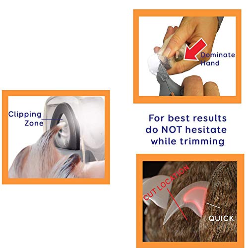 INLAR Pet Nail Clippers with 5X Magnifier & LED Light, Lightweight Pet Nail Trimmer Claw Care, Gentle Nail Guide, Quick Clip Trimme - for Smaller Size Dogs and Cats (Grey,Grey) - Thumbnail 2