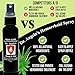 Dr. Angela's Hemorrhoid Treatment Spray | Organic Aloe Vera, Witch Hazel & Essential Oils Turmeric & Tea Tree | Natural Itching & Burning Relief Cream