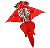 Hengda Kite Fish Kite for Girls Boys Let Fish Swim in Sky Kite with 30m Line