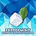 ICE BREAKERS ICE CUBES PEPPERMINT CHEWING GUM SUGAR FREE CUBE RP 40 CT - 0034000008431