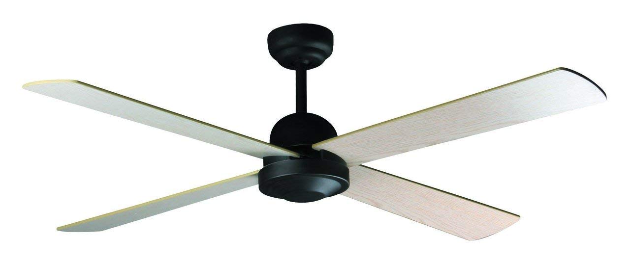 Buy 1320 Mm Ibiza Brown 4 Blade Ceiling Fan With Remote Online At