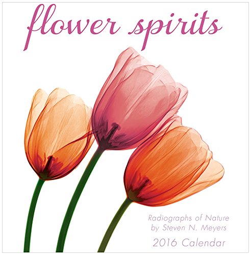 Flower Spirits 2016 Mini Calendar Calendar – Mini Calendar, June 15, 2015