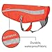Ruffwear, Track Jacket High Visibility Reflective Safety Jacket for Dogs, Blaze Orange, Small/Medium