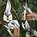 3CR13 Garden Shears Farmer Florist Pruner for Garden Picking Fruit Pruning Regenerated Branches, secateurs, Whitethumb 3