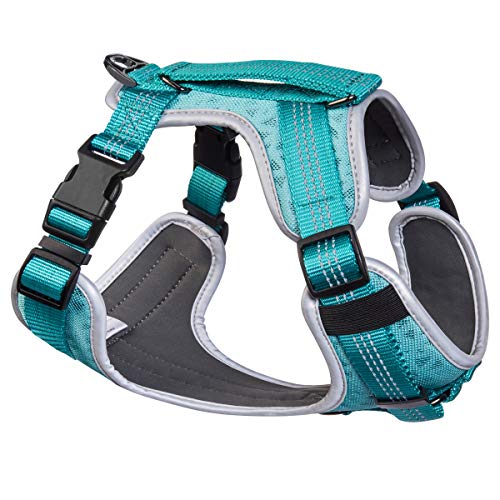 Embark Sports Dog Harness, Light and Breathable Design - Easy On and Off, No Pull Training, Size Adjustable, Non Choke with Handle for Control (Medium, Teal)