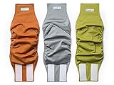Reusable Washable Dog Belly Bands (3 Pack - XS) - Durable Comfortable Stylish Dog Wraps for Male Dogs - Premium Quality