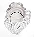 Fascinators Hair Clip Headband Pillbox Hat Bowler Feather Flower Veil Wedding Party Hat, A White, One Size